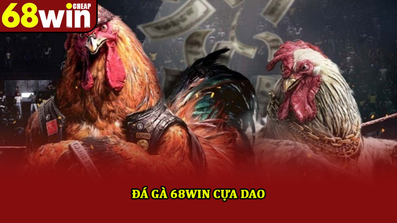 Đá gà 68win – Hòa mình với nhiều trận đấu, kịch tính hấp dẫn 2 Đá gà 68win cựa dao