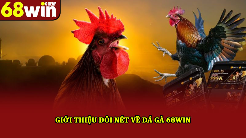 Đá gà 68win – Hòa mình với nhiều trận đấu, kịch tính hấp dẫn 1 Giới thiệu đôi nét về đá gà 68win