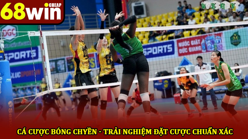 Cá cược bóng chyền - Trải nghiệm tham gia đặt cược chuẩn xác 1 Cá cược bóng chyền - Trải nghiệm tham gia đặt cược chuẩn xác