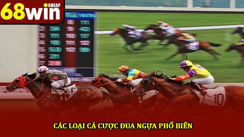 Cá cược đua ngựa - Hướng dẫn chơi và chiến lược hiệu quả 2 Các loại cá cược đua ngựa phổ biến
