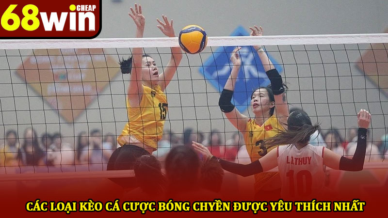 Cá cược bóng chyền - Trải nghiệm tham gia đặt cược chuẩn xác 2 Các loại kèo cá cược bóng chyền được yêu thích nhất