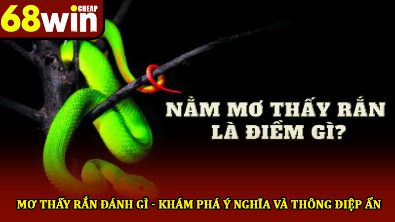 Mơ thấy rắn đánh gì - Khám phá ý nghĩa và thông điệp ẩn 1 Mơ thấy rắn đánh gì - Khám phá ý nghĩa và thông điệp ẩn